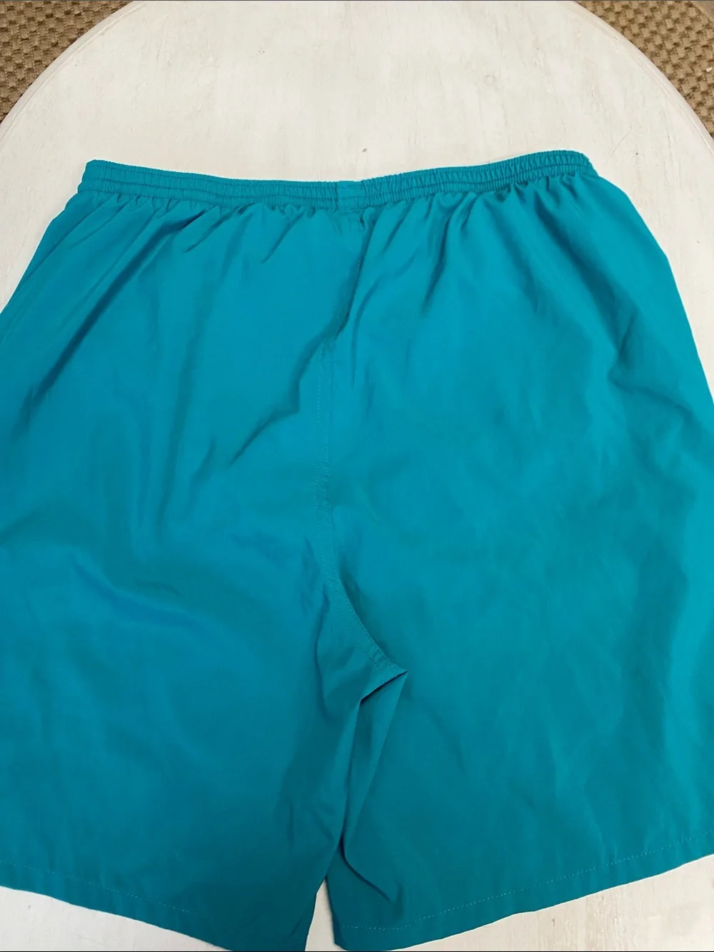 Patagonia Men's Teal Swim Trunks